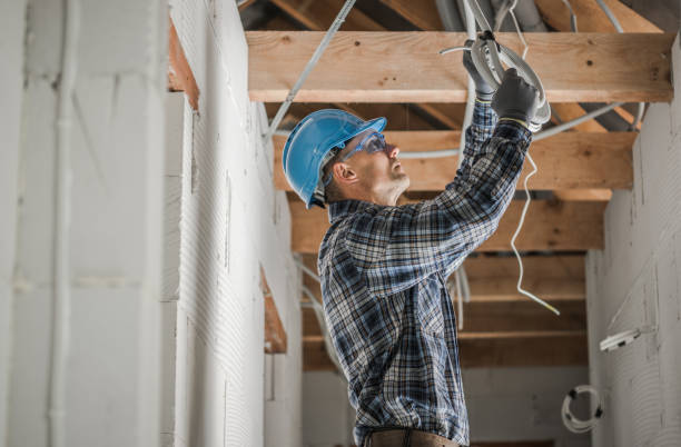 Best Electric Panel Repair  in Redington Shores, FL